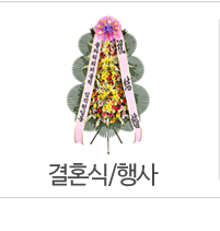 결혼식/행사
