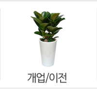 개업/이전