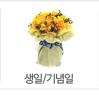 생일/기념일