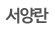 서양란