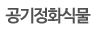 공기정화식물
