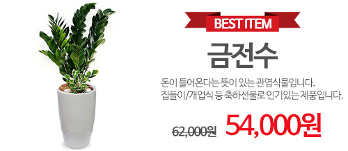 금전수