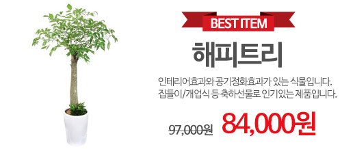 해피트리