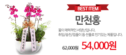 만천홍