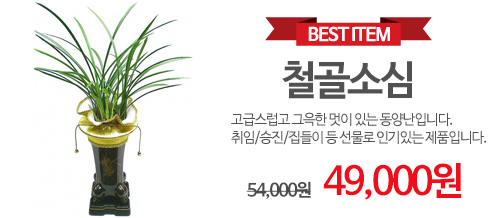 철골소심
