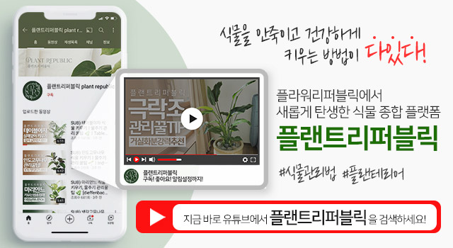 유튜브