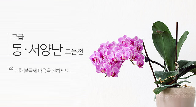 20180510 난