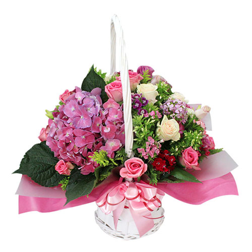 꽃바구니 - 플라워리퍼블릭 - 전국꽃배달서비스|화환|개업선물